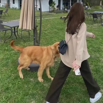 直面脂肪